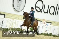 24BUCK_12790 thumbnail