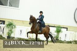 24BUCK_12791 thumbnail