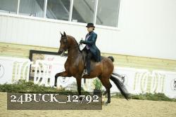 24BUCK_12792 thumbnail