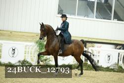24BUCK_12793 thumbnail