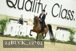 24BUCK_12794 thumbnail