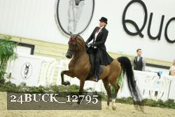 24BUCK_12795 thumbnail