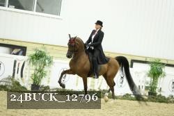 24BUCK_12796 thumbnail