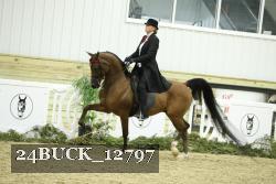 24BUCK_12797 thumbnail