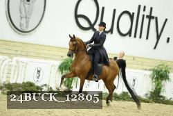 24BUCK_12805 thumbnail