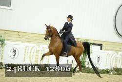 24BUCK_12806 thumbnail