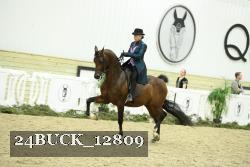 24BUCK_12809 thumbnail
