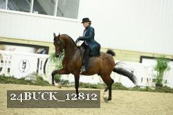 24BUCK_12812 thumbnail