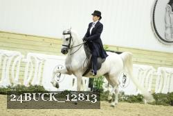 24BUCK_12813 thumbnail