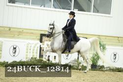 24BUCK_12814 thumbnail