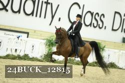 24BUCK_12815 thumbnail