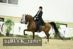 24BUCK_12817 thumbnail