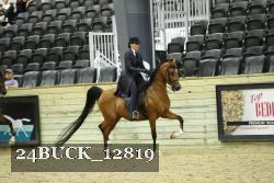 24BUCK_12819 thumbnail