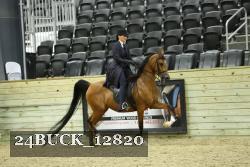 24BUCK_12820 thumbnail