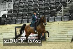 24BUCK_12821 thumbnail