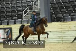 24BUCK_12822 thumbnail