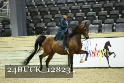 24BUCK_12823 thumbnail