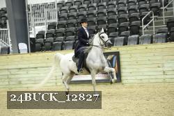 24BUCK_12827 thumbnail
