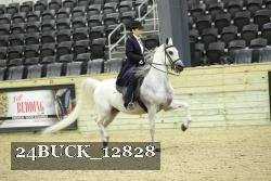 24BUCK_12828 thumbnail