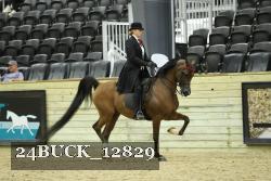 24BUCK_12829 thumbnail
