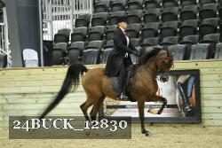 24BUCK_12830 thumbnail