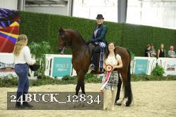24BUCK_12834 thumbnail