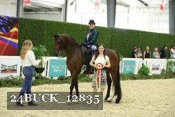 24BUCK_12835 thumbnail