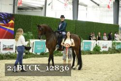 24BUCK_12836 thumbnail