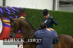 24BUCK_12837 thumbnail