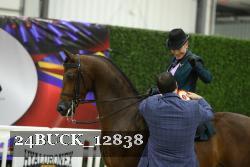 24BUCK_12838 thumbnail