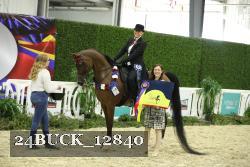 24BUCK_12840 thumbnail