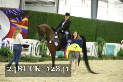 24BUCK_12841 thumbnail