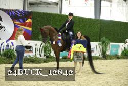 24BUCK_12842 thumbnail