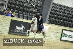 24BUCK_12843 thumbnail
