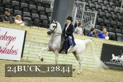 24BUCK_12844 thumbnail