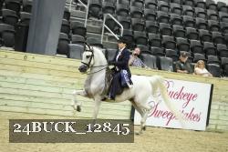24BUCK_12845 thumbnail