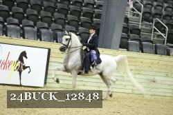 24BUCK_12848 thumbnail