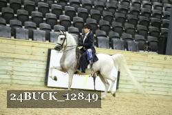 24BUCK_12849 thumbnail
