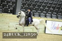24BUCK_12850 thumbnail