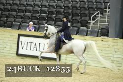24BUCK_12855 thumbnail
