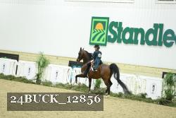 24BUCK_12856 thumbnail