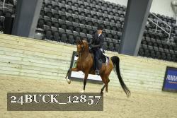 24BUCK_12857 thumbnail
