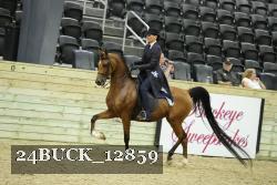 24BUCK_12859 thumbnail