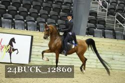 24BUCK_12860 thumbnail