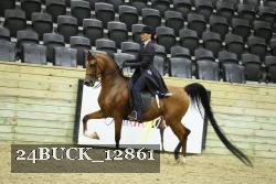 24BUCK_12861 thumbnail