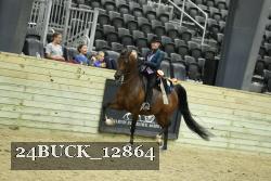 24BUCK_12864 thumbnail