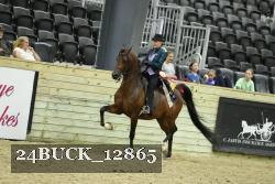 24BUCK_12865 thumbnail