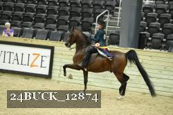 24BUCK_12874 thumbnail