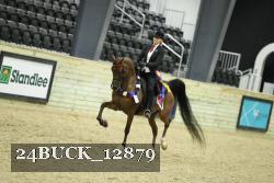 24BUCK_12879 thumbnail