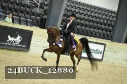 24BUCK_12880 thumbnail